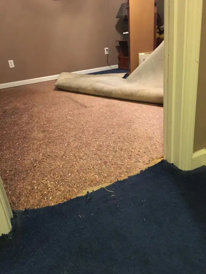 Carpet pad removal revealing water damage during Drying & Dehumidification in Hollymead