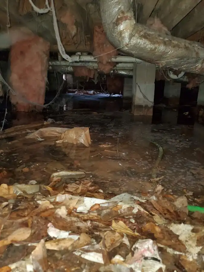 Crawl space flood assessment for Leak Detection & Repair in Hollymead