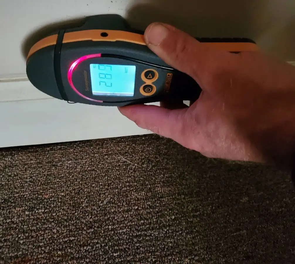 Moisture detection at baseboard during Mold Inspection & Testing in Hollymead